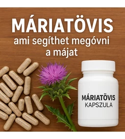 Máriatövis, a természet válasza a túlterhelt májra